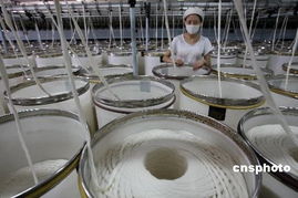 中國紡織業(yè)供應(yīng)鏈的轉(zhuǎn)型升級 從低端邁向高端