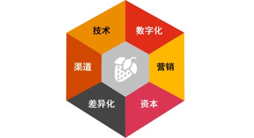 健康食品市場迎風(fēng)口 物聯(lián)網(wǎng)技術(shù)助推產(chǎn)業(yè)新機(jī)遇