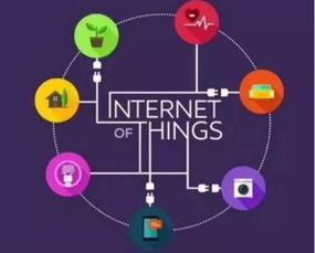 全球物聯(lián)網(wǎng)市場蓬勃發(fā)展，中國引領(lǐng)創(chuàng)新與實踐浪潮